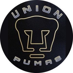 UNION PUMAS