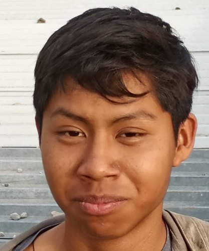 SAUL
