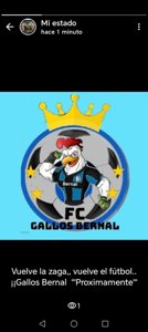 GALLOS BERNAL