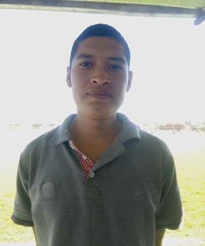 MAURICIO