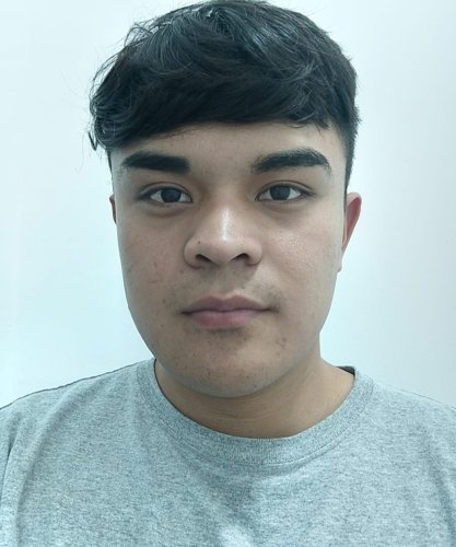 LUIS