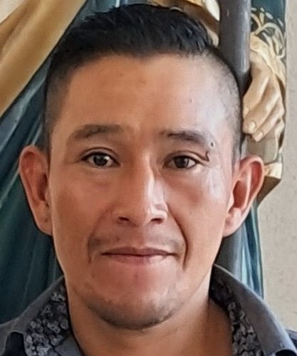 NOE
